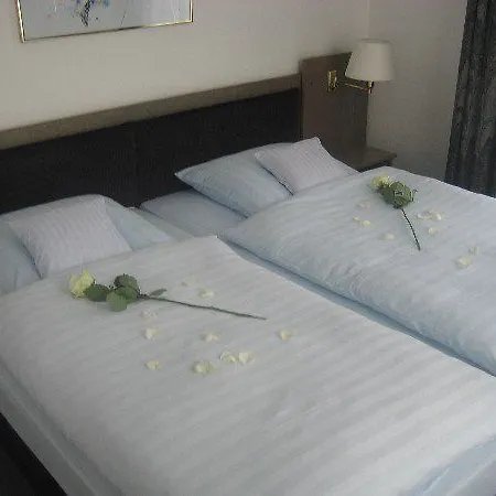 酒店 施沃特酒店 3*