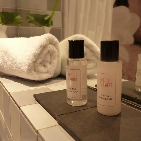 酒店 施沃特酒店 拉施塔特